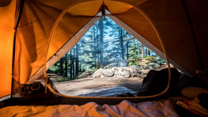 How to Find Camping Sites on Airbnb