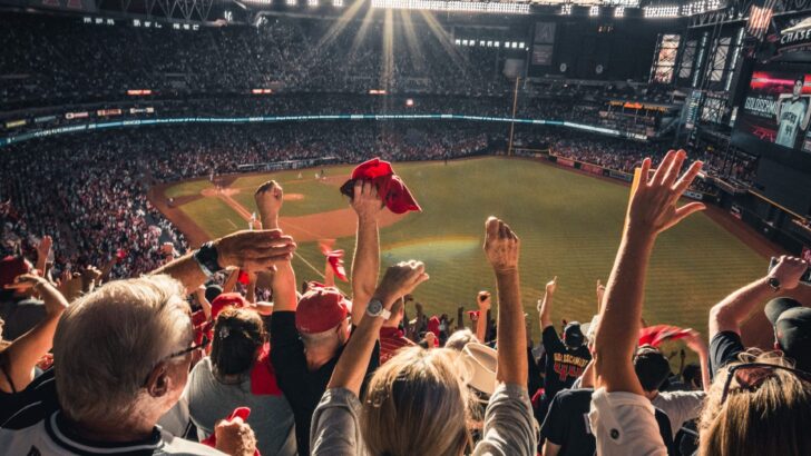 How to be a Great Baseball Fan